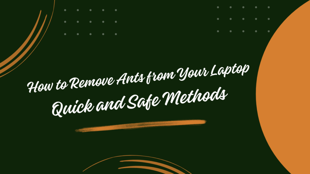 How to Remove Ants from Your Laptop